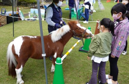 2021秋の上州どっと楽市_ポニーふれあい