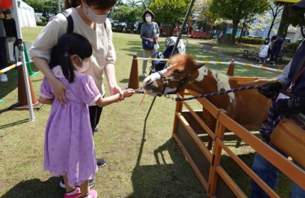 2022春の上州どっと楽市_ポニー