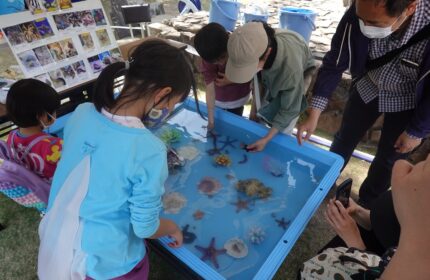 移動水族館