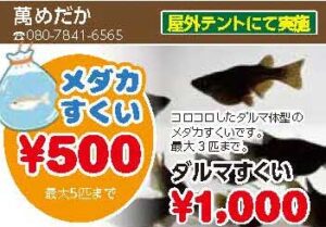 萬めだか