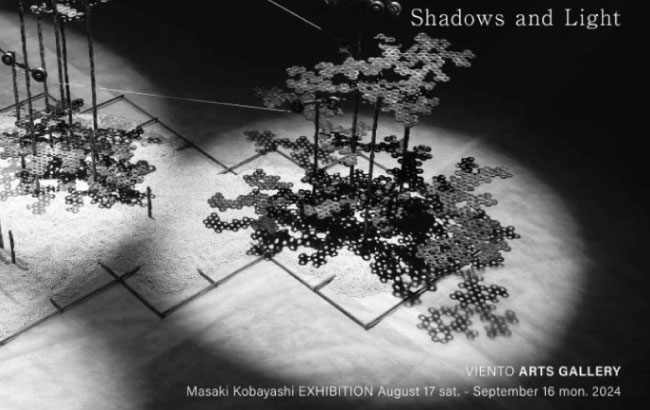 小林 正樹 Shadows and Light