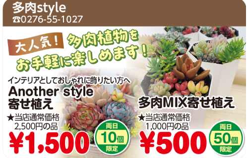 多肉スタイル