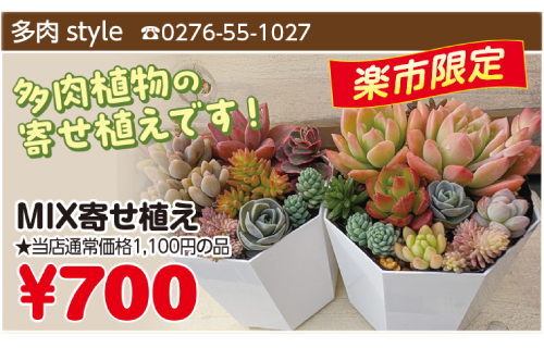 上州どっと楽市
